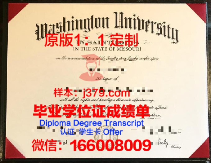 国外学历认证备案(国外学历认证成功后是怎么样的)