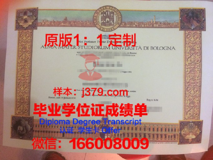 哥白尼毕业于意大利博洛尼亚大学(谁是哥白尼大学毕业后的第一份工作)