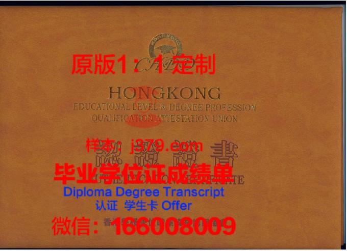 国外学历学位认证书翻译模板(国外学历学位认证书翻译模板怎么写)