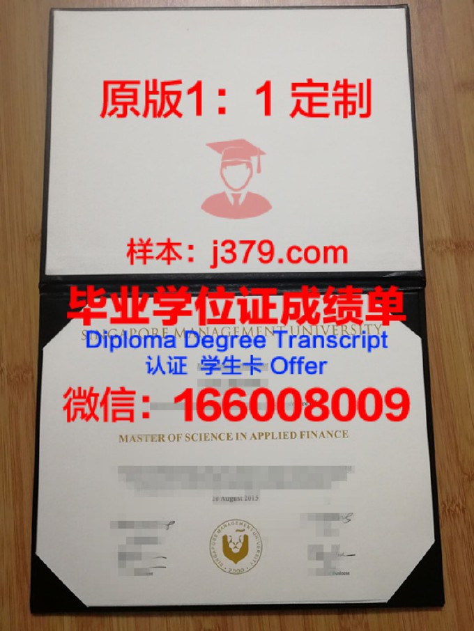 南联邦大学毕业证样式(南联邦大学相当于中国什么大学)