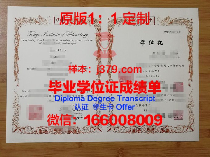 东京工科大学diploma证书(日本东京工科大学好考吗)