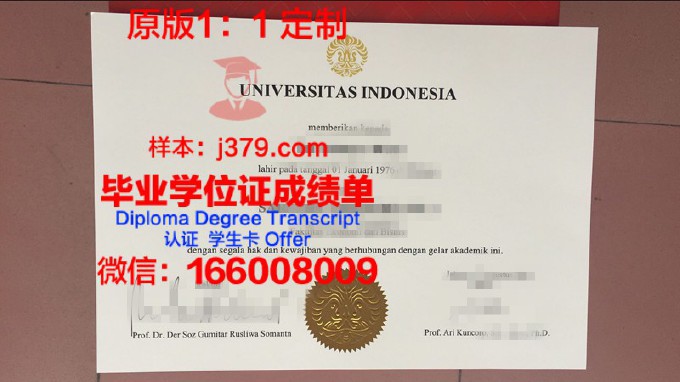 印度尼西亚大学毕业证壳子(印尼学历)
