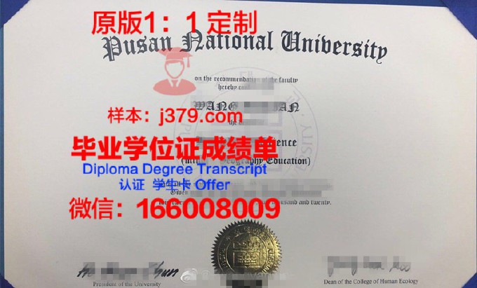 釜山大学diploma